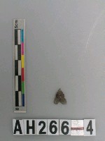 藏品(打製石鏃)的圖片